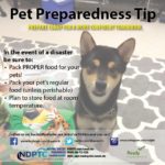 Pet Preparedness Tips